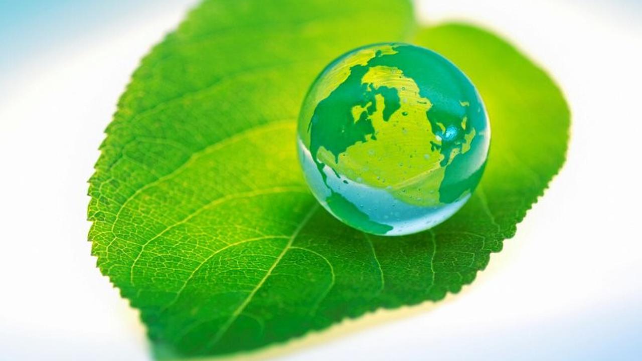 Зеленая экология